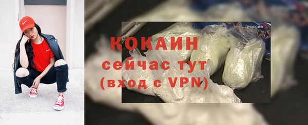 индика Лагань