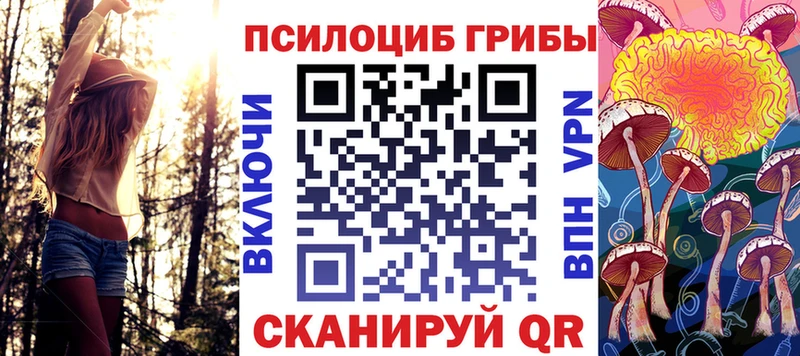 Купить где  Николаевск  Псилоцибиновые грибы прущие грибы 
